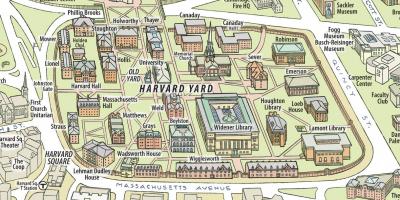 แผนที่ของมหาวิทยาลัยฮาร์วาร์ด